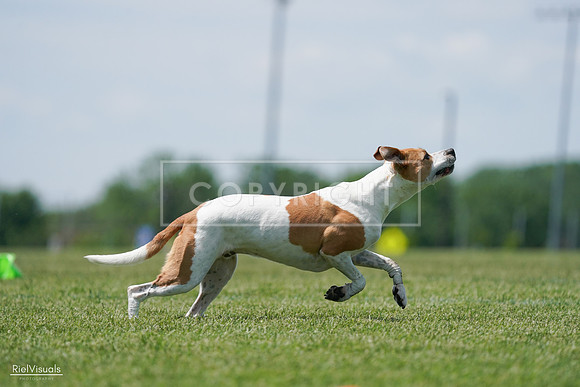 RielVisuals_20240525_121759_SJR09358