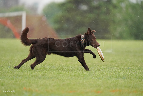 RielVisuals_20240527_103922_SJR00975
