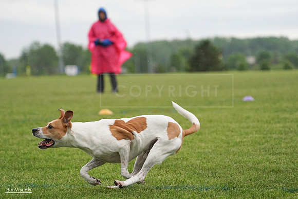 RielVisuals_20240526_092115_SJR09713