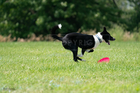 RielVisuals_20240728_133016_SJR06402
