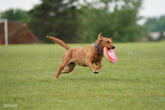 RielVisuals_20240527_113514_SJR03939