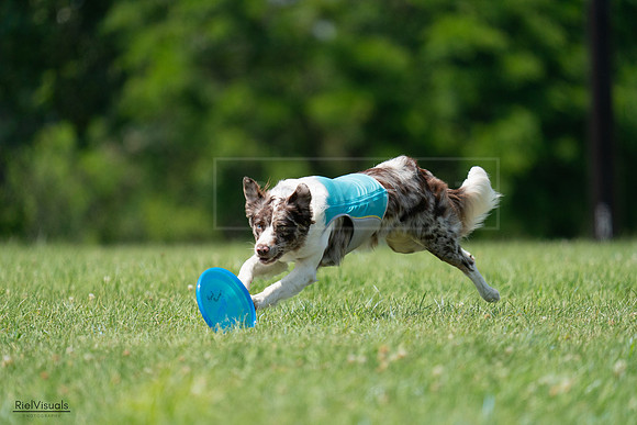 RielVisuals_20240728_142333_SJR08194
