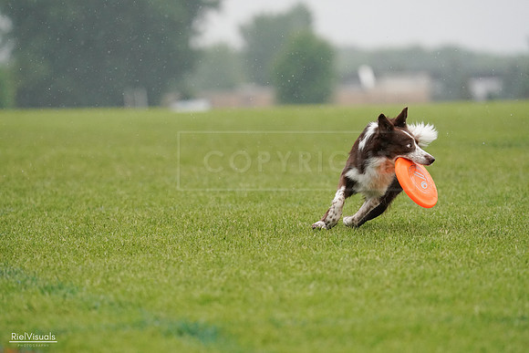 RielVisuals_20240527_104328_SJR01334