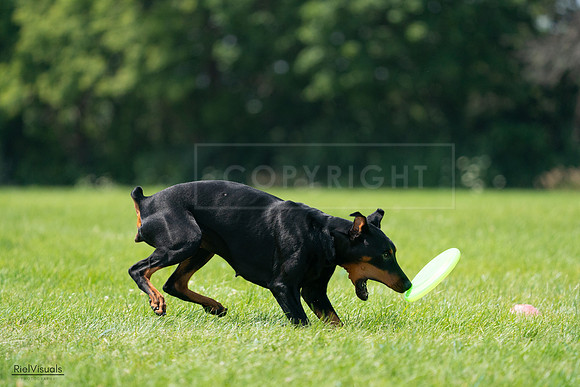 RielVisuals_20240728_122758_SJR03952