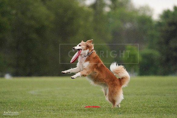 RielVisuals_20240526_093936_SJR00661