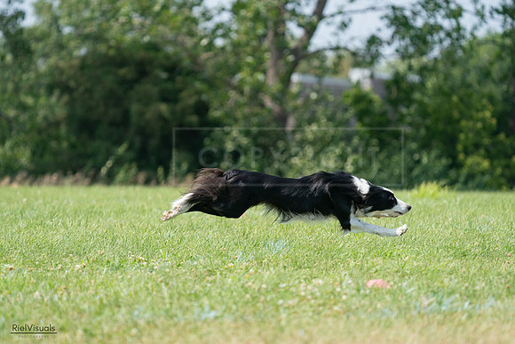 RielVisuals_20240728_142058_SJR08076