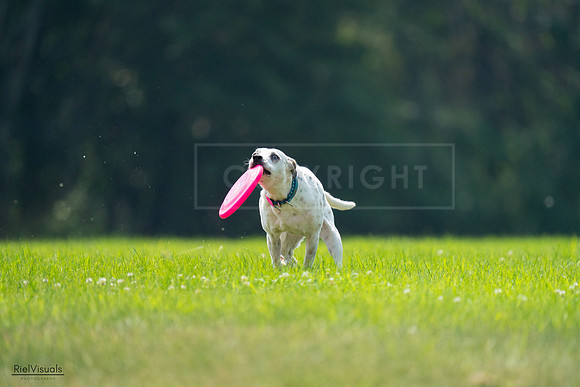RielVisuals_20240727_120958_SJR04893