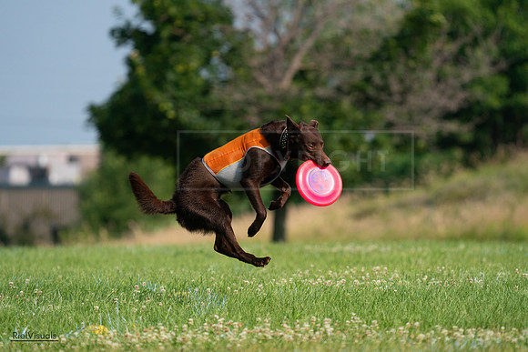 RielVisuals_20240727_092502_SJR06229