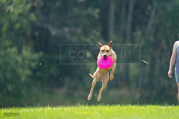 RielVisuals_20240727_121936_SJR05335