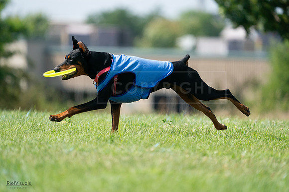 RielVisuals_20240728_151317_SJR00324