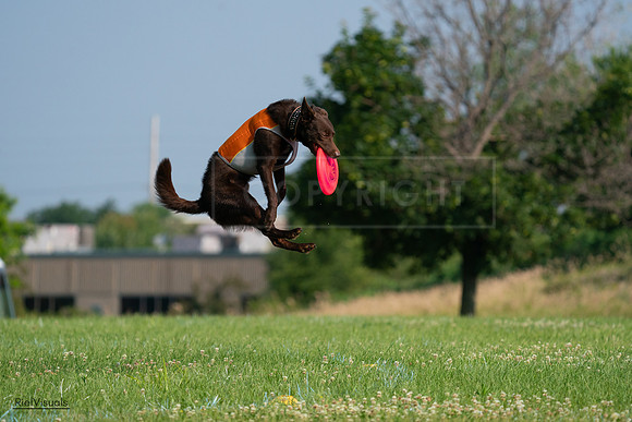 RielVisuals_20240727_092514_SJR06269