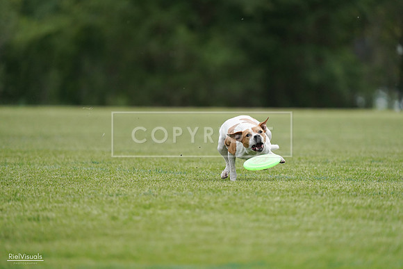 RielVisuals_20240525_161550_SJR03899