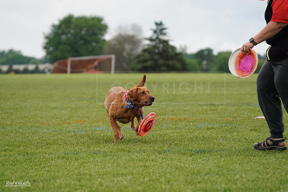 RielVisuals_20240527_113530_SJR03980