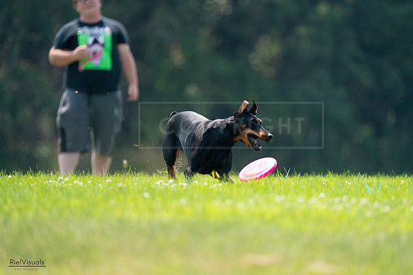 RielVisuals_20240727_121347_SJR05051