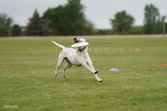 RielVisuals_20240526_134252_SJR08832