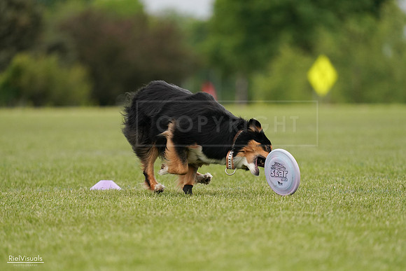 RielVisuals_20240526_135257_SJR09418