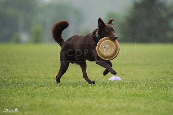 RielVisuals_20240527_100812_SJR09275