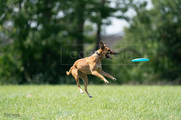 RielVisuals_20240728_150226_SJR09930