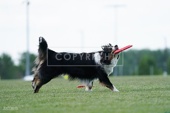 RielVisuals_20240525_122923_SJR00042