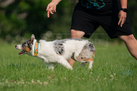 RielVisuals_20240727_092232_SJR06078