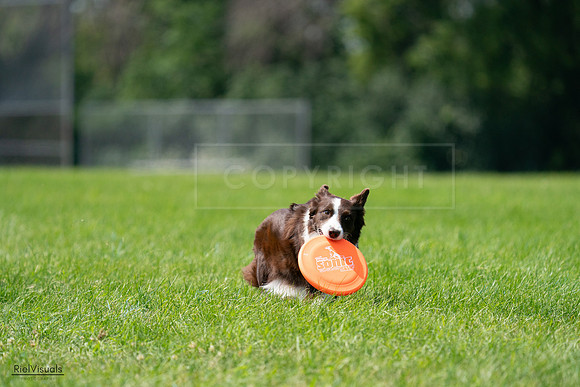 RielVisuals_20240728_120956_SJR03146