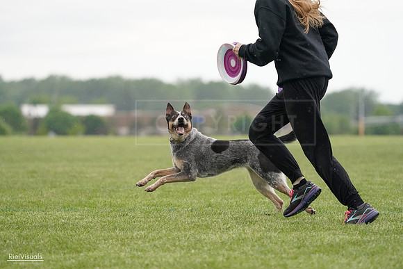 RielVisuals_20240526_091812_SJR09610