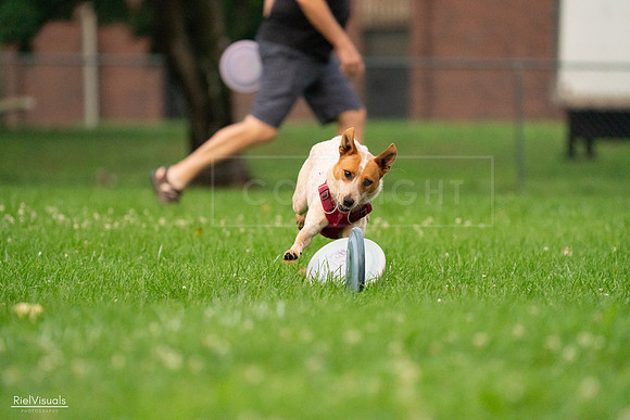 RielVisuals_20240722_201418_SJR03275