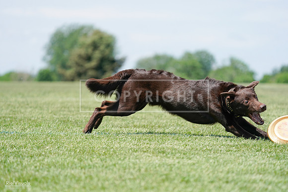 RielVisuals_20240525_120831_SJR08869