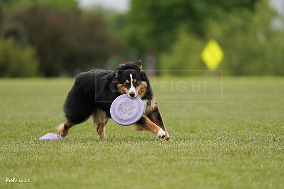 RielVisuals_20240526_135249_SJR09403