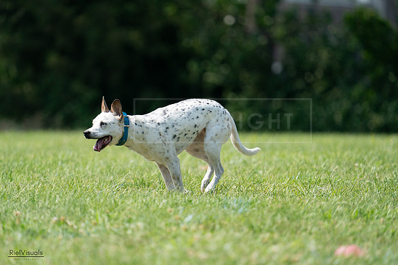 RielVisuals_20240728_151608_SJR00476