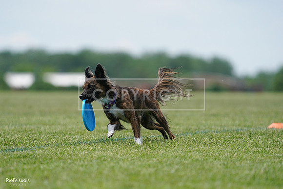 RielVisuals_20240525_124036_SJR00771