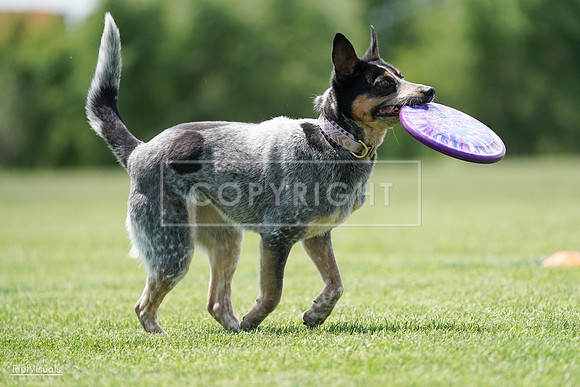 RielVisuals_20240525_122329_SJR09716