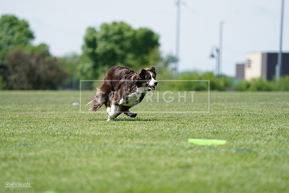 RielVisuals_20240525_120103_SJR08326