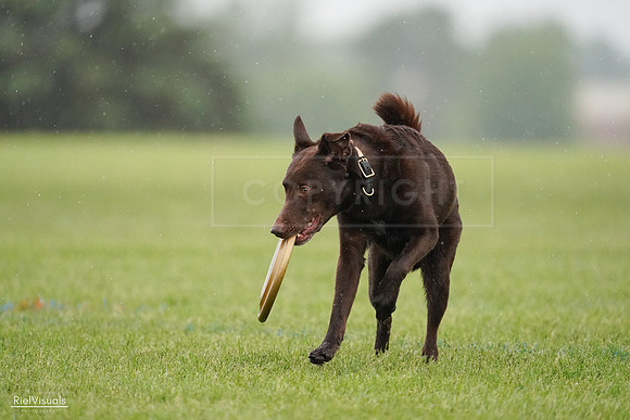 RielVisuals_20240527_104023_SJR01077