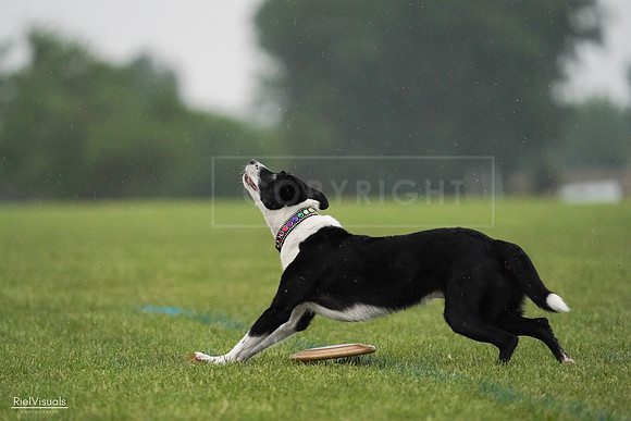RielVisuals_20240527_094701_SJR08927