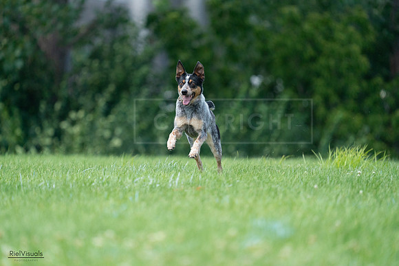 RielVisuals_20240727_133934_SJR07946