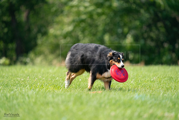 RielVisuals_20240727_140609_SJR09590