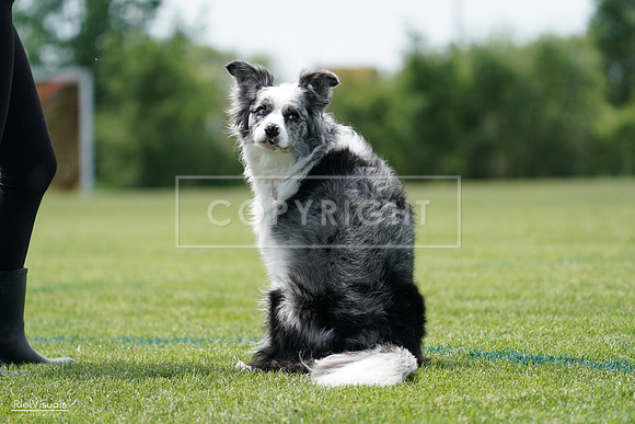 RielVisuals_20240525_123531_SJR00447