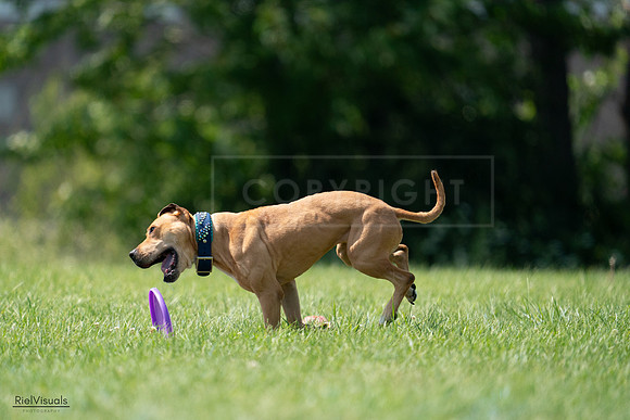 RielVisuals_20240728_150736_SJR00144