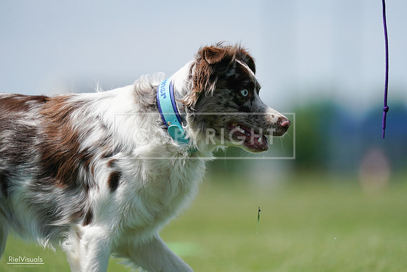 RielVisuals_20240525_120633_SJR08718