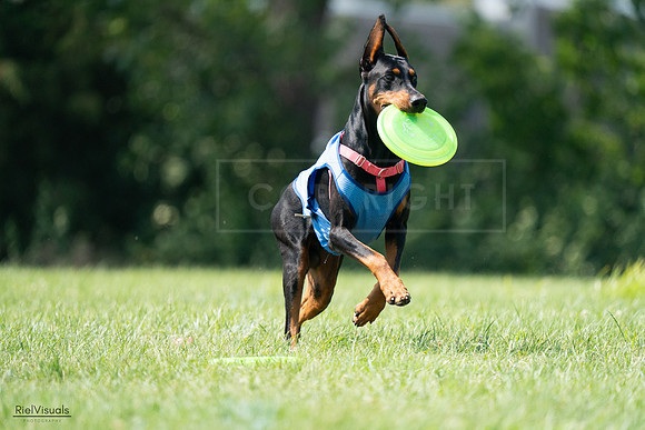 RielVisuals_20240728_151253_SJR00307