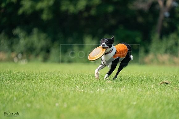 RielVisuals_20240728_101620_SJR07617