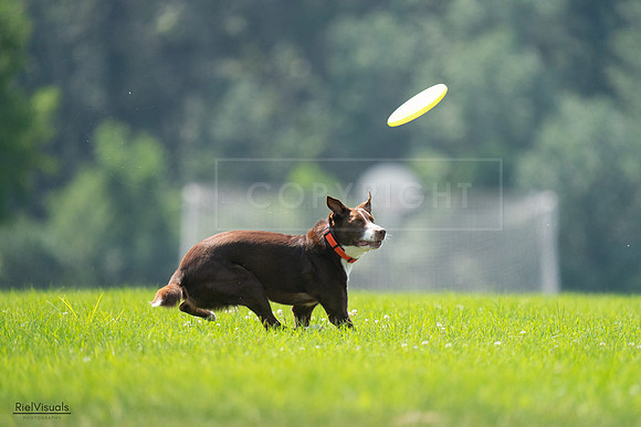 RielVisuals_20240727_123242_SJR05827