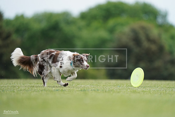 RielVisuals_20240525_161058_SJR03697