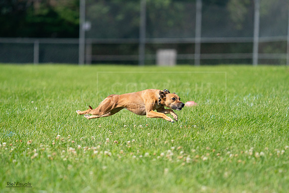 RielVisuals_20240728_102555_SJR08025