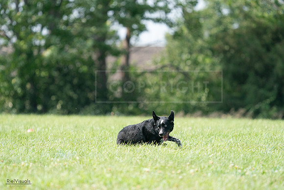 RielVisuals_20240728_143753_SJR08733