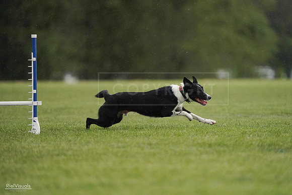RielVisuals_20240526_093442_SJR00459