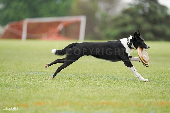 RielVisuals_20240527_111601_SJR03592