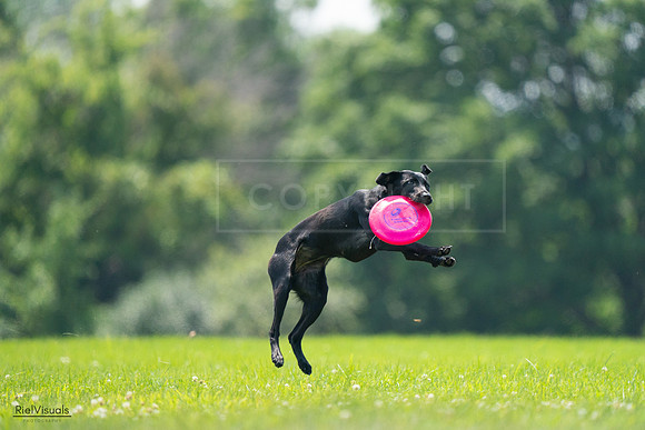 RielVisuals_20240727_131042_SJR07106