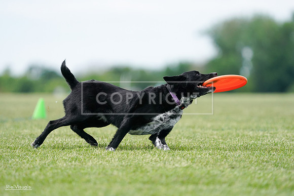 RielVisuals_20240525_124910_SJR01252